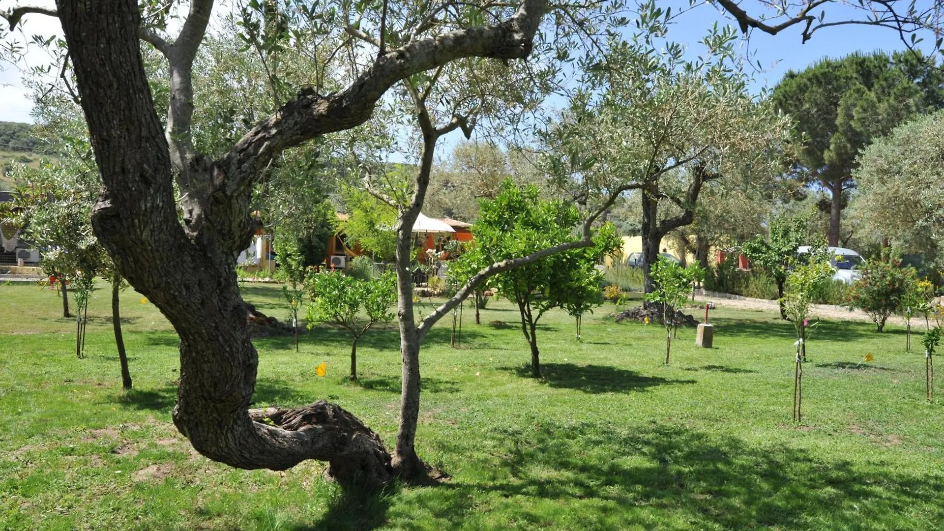 Butterfly House Bed & Breakfast Alghero