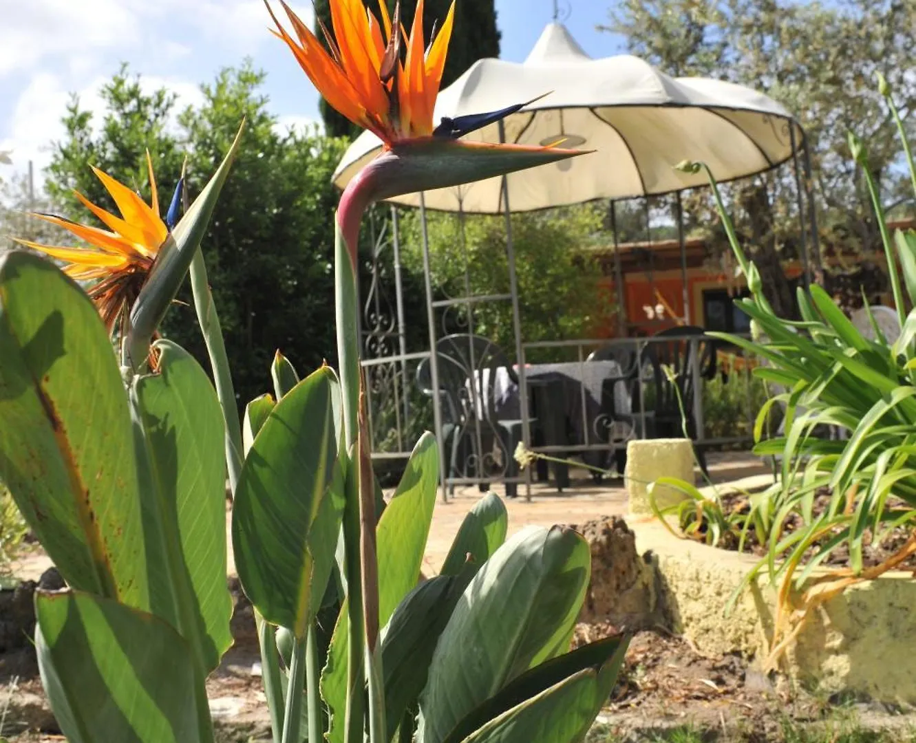 Butterfly House Bed & Breakfast Alghero